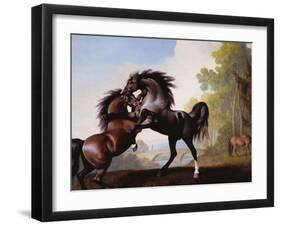 Stallions Fighting-George Stubbs-Framed Giclee Print