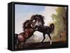Stallions Fighting-George Stubbs-Framed Stretched Canvas