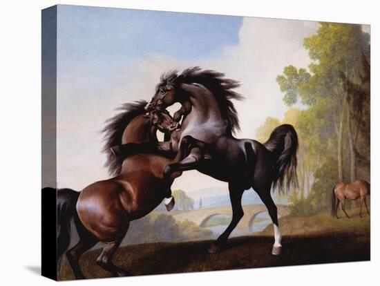 Stallions Fighting-George Stubbs-Stretched Canvas