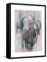 Stambecchi in Estate-Mark Adlington-Framed Stretched Canvas