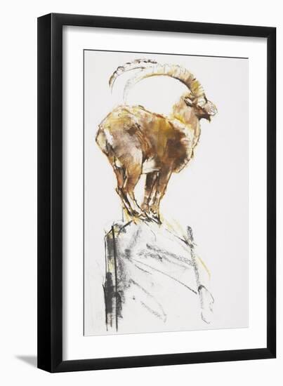 Stambecco d'Oro, 2005-Mark Adlington-Framed Giclee Print