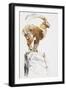 Stambecco d'Oro, 2005-Mark Adlington-Framed Giclee Print