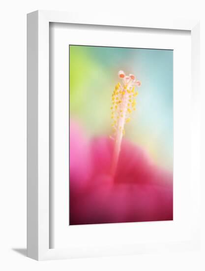 Stamens-Heidi Westum-Framed Photographic Print