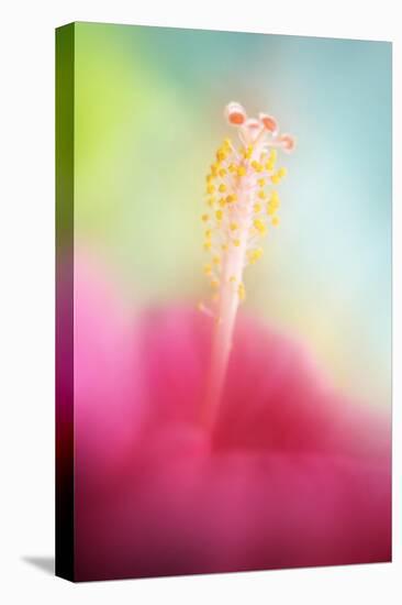 Stamens-Heidi Westum-Stretched Canvas