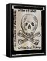 Stamp Act: Cartoon, 1765-null-Framed Stretched Canvas