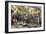 Stamp Act Riots in Boston Before the Revolutionary War-null-Framed Giclee Print