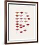 Stamped Lips, c. 1959-Andy Warhol-Framed Art Print