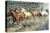 Stampede I-PH Burchett-Stretched Canvas