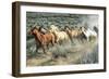 Stampede I-PH Burchett-Framed Photographic Print