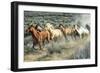 Stampede I-PH Burchett-Framed Photographic Print