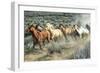 Stampede I-PH Burchett-Framed Photographic Print