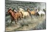 Stampede I-PH Burchett-Mounted Photographic Print