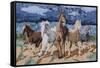 Stampeding Horses-Kestrel Michaud-Framed Stretched Canvas