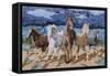 Stampeding Horses-Kestrel Michaud-Framed Stretched Canvas