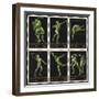 Stamps Marking Germany 1916 Berlin Olympic Games, With Various Events Represented-null-Framed Giclee Print