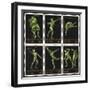 Stamps Marking Germany 1916 Berlin Olympic Games, With Various Events Represented-null-Framed Giclee Print