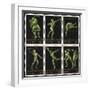 Stamps Marking Germany 1916 Berlin Olympic Games, With Various Events Represented-null-Framed Giclee Print