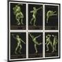 Stamps Marking Germany 1916 Berlin Olympic Games, With Various Events Represented-null-Mounted Giclee Print