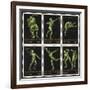 Stamps Marking Germany 1916 Berlin Olympic Games, With Various Events Represented-null-Framed Giclee Print