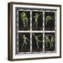 Stamps Marking Germany 1916 Berlin Olympic Games, With Various Events Represented-null-Framed Premium Giclee Print