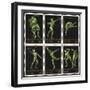 Stamps Marking Germany 1916 Berlin Olympic Games, With Various Events Represented-null-Framed Premium Giclee Print