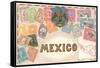 Stamps of Mexico-null-Framed Stretched Canvas