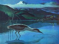 Black Crowned Night Heron-Stan Galli-Giclee Print