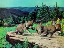Cubs at Play-Stan Galli-Mounted Giclee Print