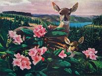 Doe and Fawn-Stan Galli-Giclee Print