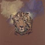 Leopard-Stan Kaminski-Stretched Canvas