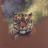 Snow Leopard-Stan Kaminski-Stretched Canvas