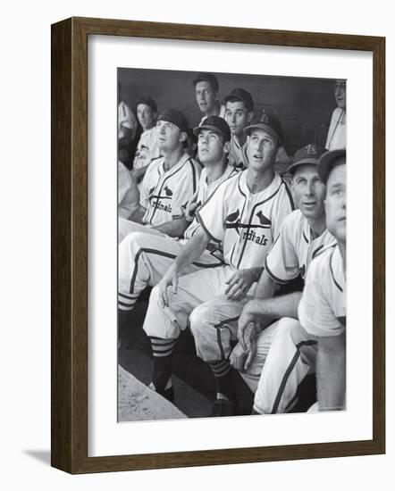 Stan Musial St. Louis Cardinals Most Outstanding Player Following Foul Ball from Bench-Joe Scherschel-Framed Premium Photographic Print