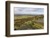 Stanage Edge and millstones in autumn, Hathersage, Peak District National Park, Derbyshire, England-Eleanor Scriven-Framed Photographic Print