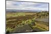 Stanage Edge and millstones in autumn, Hathersage, Peak District National Park, Derbyshire, England-Eleanor Scriven-Mounted Photographic Print