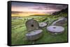 Stanage Edge Millstones at Sunrise, Peak District National Park, Derbyshire-Andrew Sproule-Framed Stretched Canvas