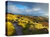 Stanage Edge, Peak District National Park, Derbyshire, England-Alan Copson-Stretched Canvas