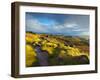 Stanage Edge, Peak District National Park, Derbyshire, England-Alan Copson-Framed Photographic Print