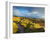 Stanage Edge, Peak District National Park, Derbyshire, England-Alan Copson-Framed Photographic Print