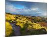 Stanage Edge, Peak District National Park, Derbyshire, England-Alan Copson-Mounted Photographic Print
