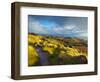 Stanage Edge, Peak District National Park, Derbyshire, England-Alan Copson-Framed Photographic Print