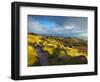 Stanage Edge, Peak District National Park, Derbyshire, England-Alan Copson-Framed Photographic Print