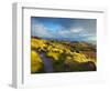 Stanage Edge, Peak District National Park, Derbyshire, England-Alan Copson-Framed Photographic Print