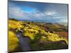 Stanage Edge, Peak District National Park, Derbyshire, England-Alan Copson-Mounted Photographic Print