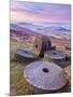 Stanage Edge Wheelstones (Millstones) and Frosty Winter Moorland Sunrise, Peak District National Pa-Neale Clark-Mounted Photographic Print