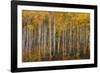 Stand of Attention-Michael Greene-Framed Giclee Print