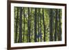 Stand of Majesty-Michael Greene-Framed Giclee Print