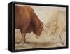 Stand Off I-Kathy Winkler-Framed Stretched Canvas