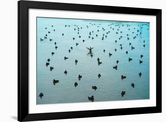 Stand out from the crowd!-Mark A Johnson-Framed Photographic Print