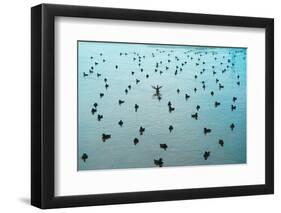 Stand out from the crowd!-Mark A Johnson-Framed Photographic Print