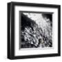 Stand Out-null-Framed Art Print